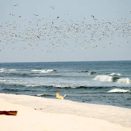 White Pearl 0.02 Apartment