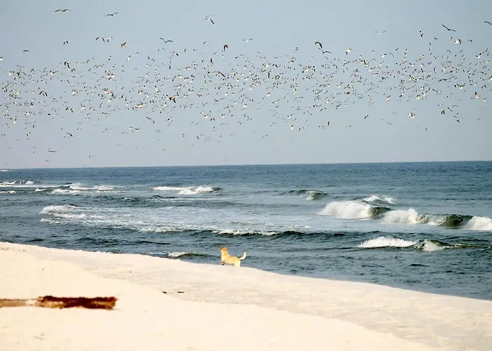 White Pearl 0.02 Apartment